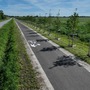 Nowa trasa rowerowa Wierzbice &ndash; Kr&oacute;likowice oddana do użytku